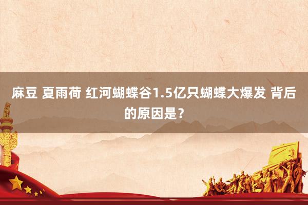 麻豆 夏雨荷 红河蝴蝶谷1.5亿只蝴蝶大爆发 背后的原因是？