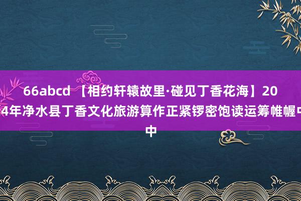 66abcd 【相约轩辕故里·碰见丁香花海】2024年净水县丁香文化旅游算作正紧锣密饱读运筹帷幄中