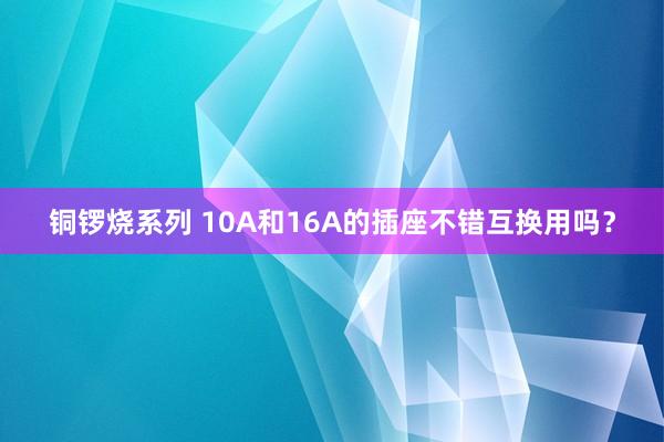 铜锣烧系列 10A和16A的插座不错互换用吗？